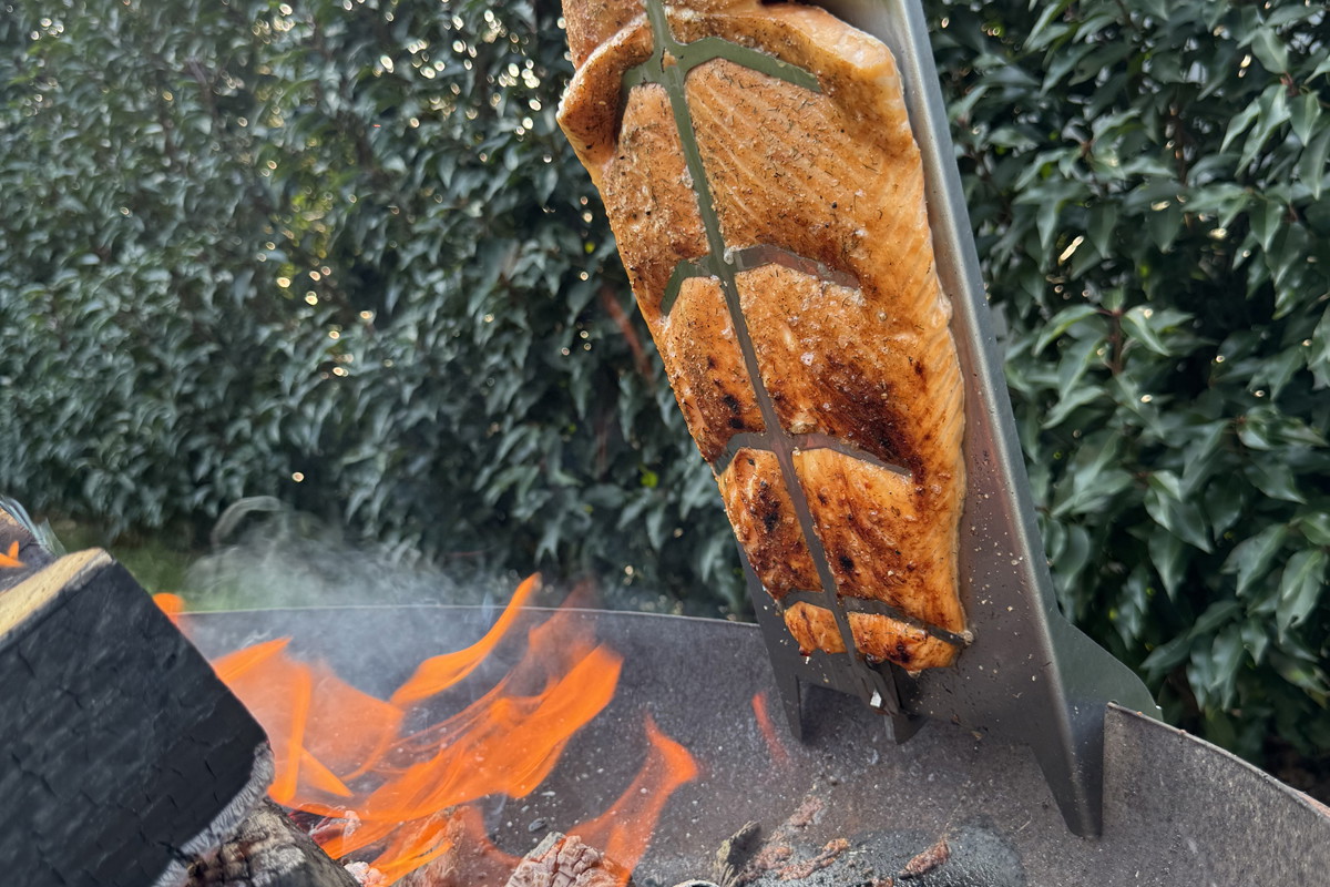 Spar-Bundle Flammlachs