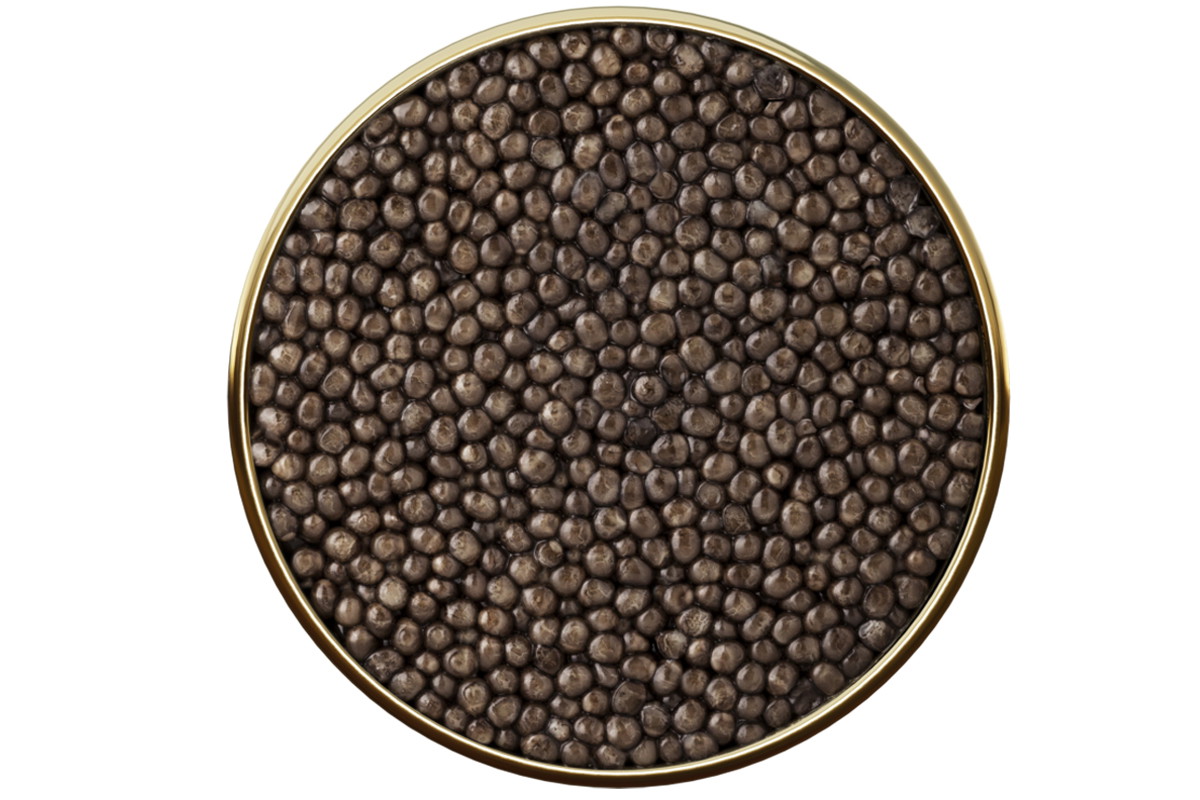 Antonius Siberian Caviar 5*