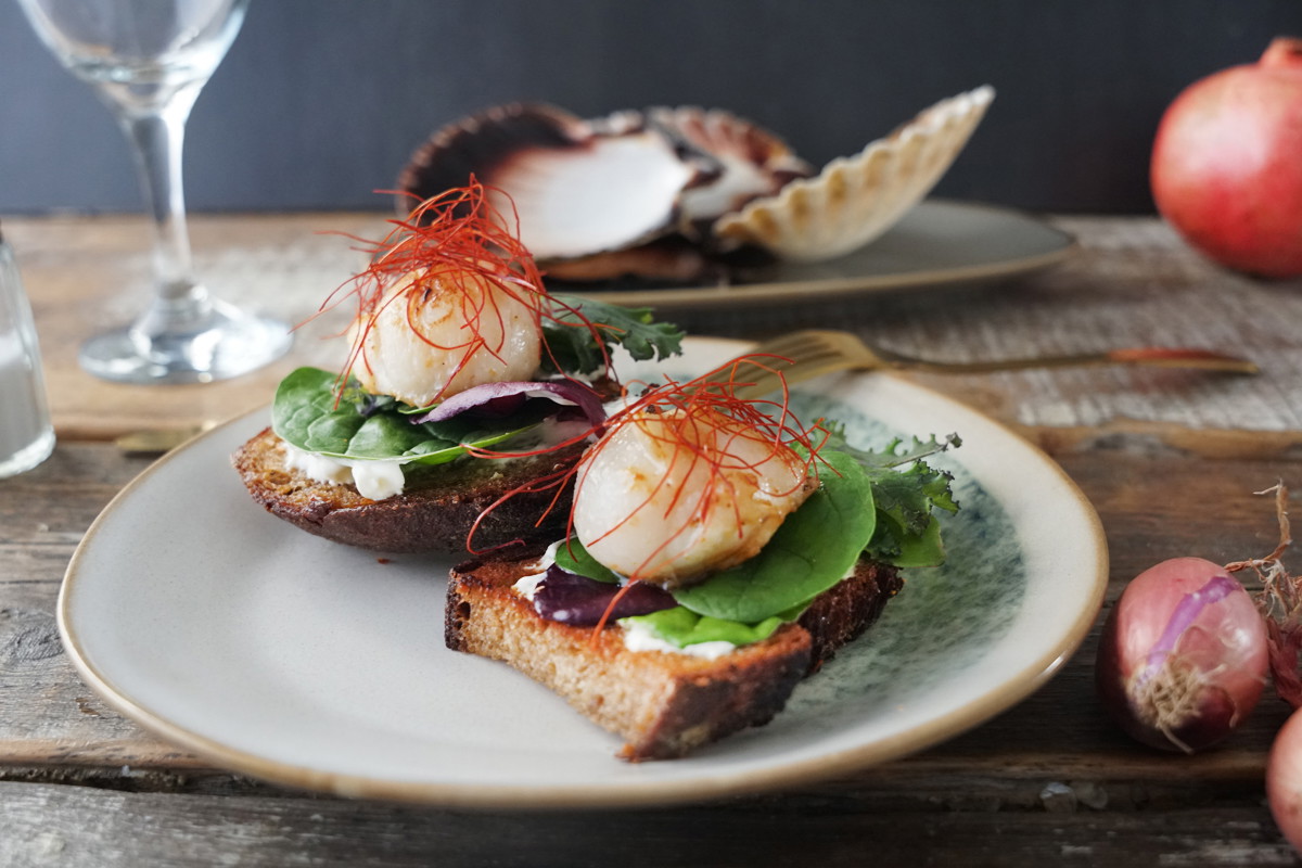 Jakobsmuscheln auf Röstbrot Rezept