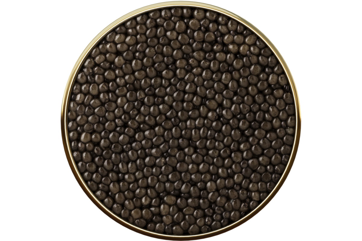 Antonius Oscietra Caviar 5*