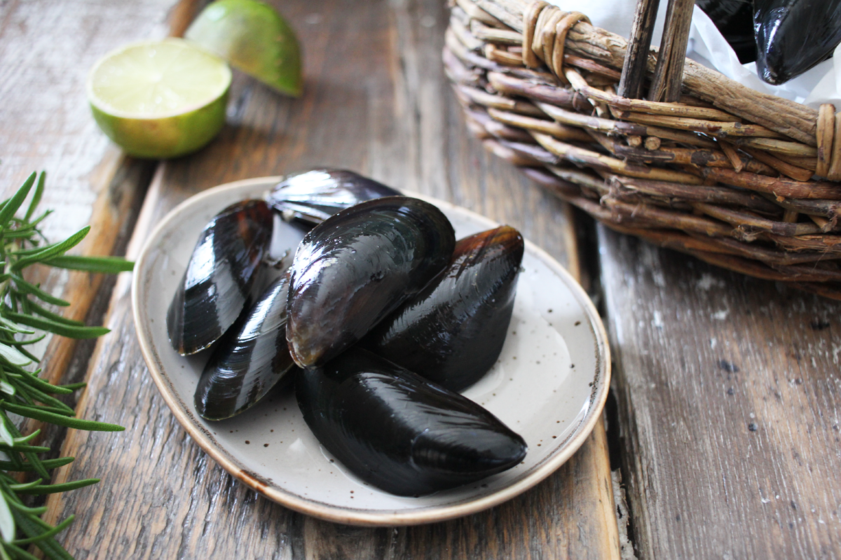 Miesmuscheln