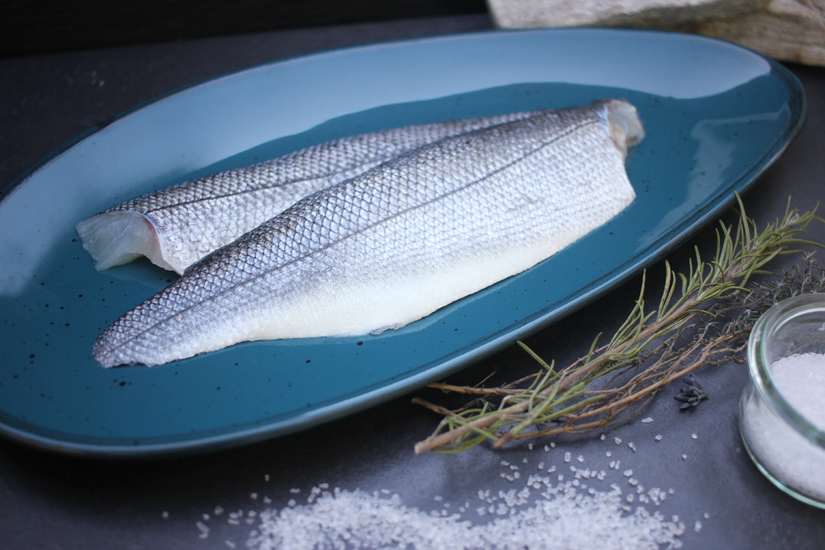Wolfsbarschfilet frisch mit Haut