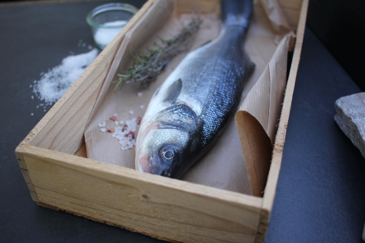 Wolfsbarsch Loup de mer